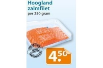 hoogland zalmfilet