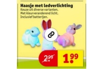 haasje met ledverlichting
