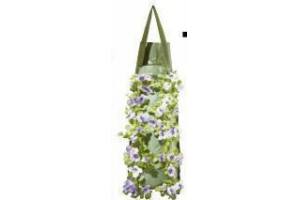 viool in wandhanger voor eur7 99