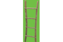 ladder