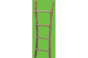 ladder