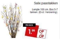 salix paastakken