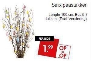 salix paastakken