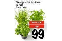 biologische kruiden in pot