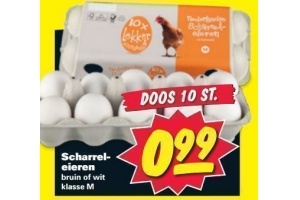 scharreleieren doos 10 stuks voor eur0 99