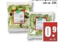 daily fresh ijsbergsalade of ijsbergsla naturel