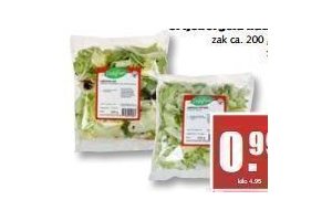 daily fresh ijsbergsalade of ijsbergsla naturel