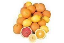 perssinaasappelen of rode grapefruit