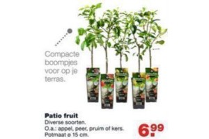 patio fruit voor 6 99