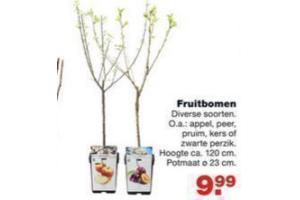 fruitbomen voor eur9 99