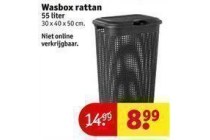 wasbox rattan