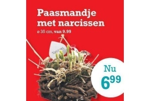 paasmandje met narcissen