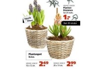 plantenpot rotan