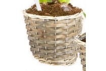 plantenpot rotan