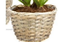 plantenpot rotan