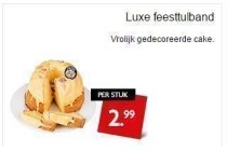 luxe feesttulband