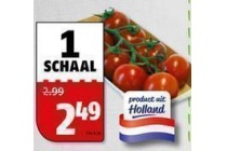 tros cocktailtomaten