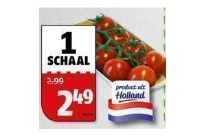 tros cocktailtomaten