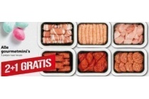 gourmetmini s