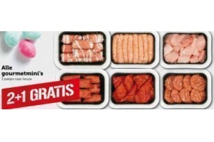 gourmetmini s