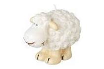 kaars schaap