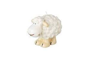 kaars schaap