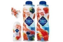 karvan cevitam vruchtenlimonadesiroop of go