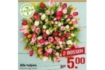 alle tulpen