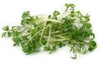 biologische tuinkers