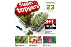 3 1 gratis op alle planten