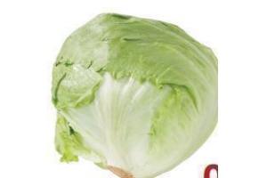 ijsbergsla