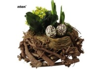 vogelnest met kamerplanten