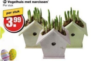 vogelhuis met narcissen