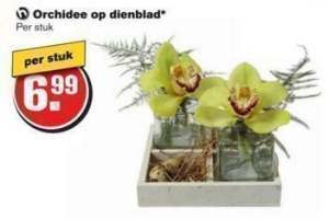 orchidee op dienblad