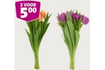 tulpen