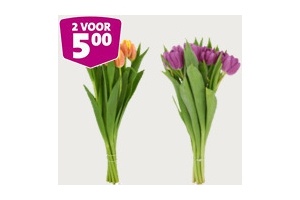 tulpen