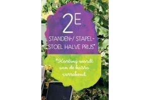 standen stapelstoelen