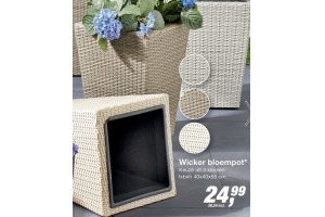 wicker bloempot