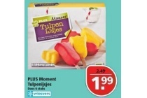 plus moment tulpenijsjes