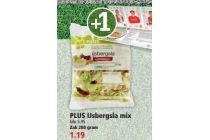 plus ijsbergsla mix