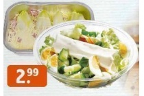 familie paas saladeschotel of ovenschotel witlof