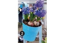 plantenpot met haak