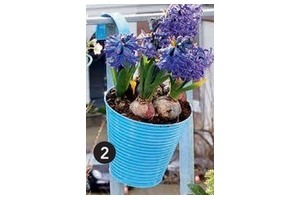 plantenpot met haak