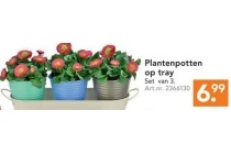 plantenpotten op tray