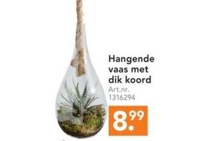 hangende vaas met dik koord