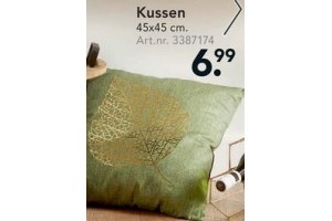 kussen