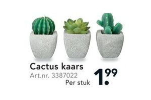 cactus kaars