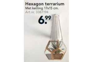 hexagon terrarium