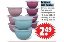 schalen met deksel