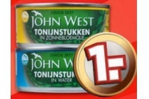 john west tonijnstukken